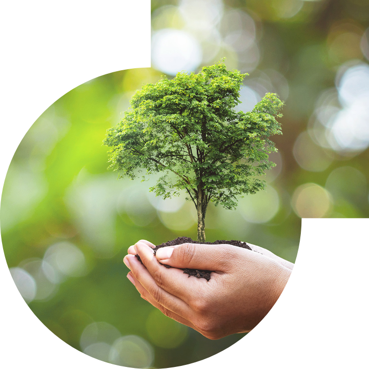 关怀人类、文化、环境与社会